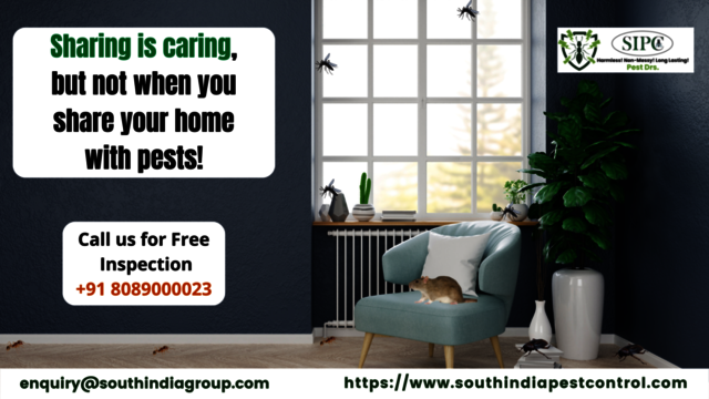 pest control Services 22 Best Pest Control Services in Chennai