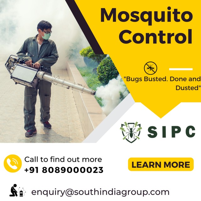 mosquito (2) Mosquito Control Cochin