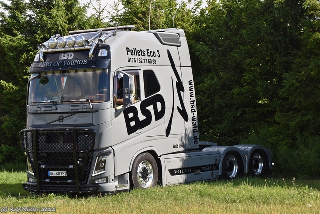 DSC 0055 Truck meets Airfield 2022 am Flugplatz ErndtebrÃ¼ck-Schameder, #truckmeetsairfield, #truckpicsfamily