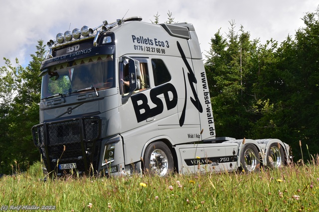 DSC 0060 Truck meets Airfield 2022 am Flugplatz ErndtebrÃ¼ck-Schameder, #truckmeetsairfield, #truckpicsfamily