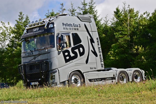 DSC 0064 Truck meets Airfield 2022 am Flugplatz ErndtebrÃ¼ck-Schameder, #truckmeetsairfield, #truckpicsfamily