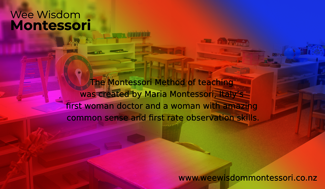 Wee Wisdom Montessori Picture Box