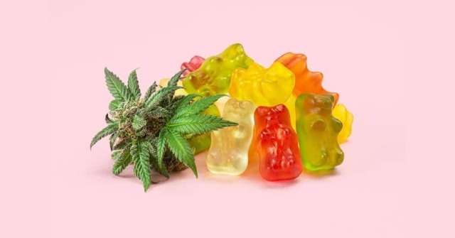 Condor CBD Gummies Picture Box