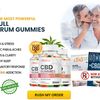 Clinical CBD Gummies