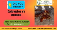 Cockroach Control Servcies Cockroach Control Cochin