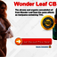 Wonder Leaf CBD Oil &acirc;&euro;&ldquo; Rea... - Wonder Leaf CBD Oil