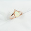 012-C - RINGS