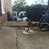 3 - Tullahoma Foundation Repair