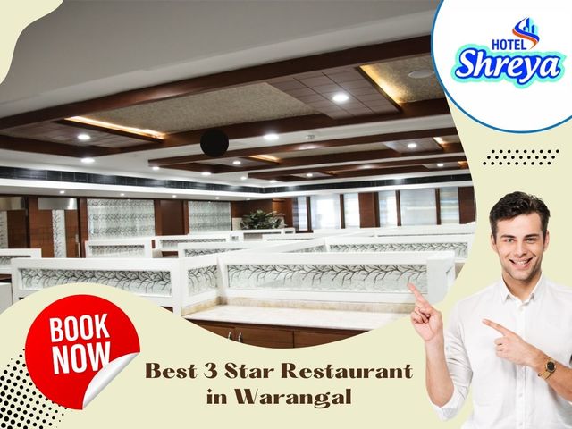 Hotel Shreya - GMB (1) Picture Box