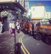 Tree Surgery Hastings Picture Box