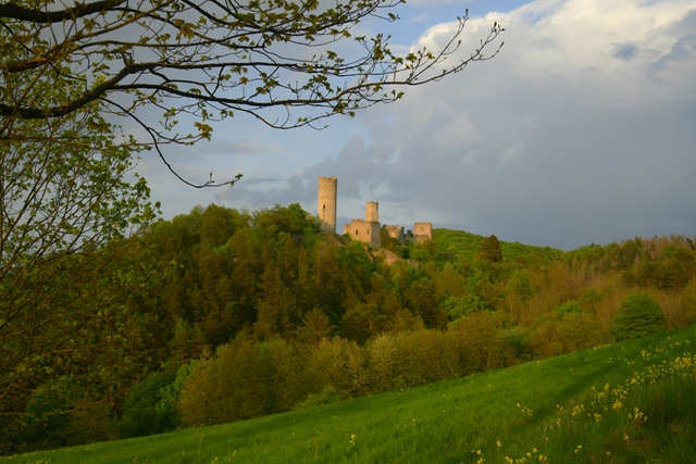  DSC2075 balingehofforum