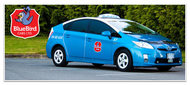 Bluebird Cabs Ltd3 Bluebird Cabs Ltd.