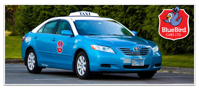 Bluebird Cabs Ltd6 Bluebird Cabs Ltd.