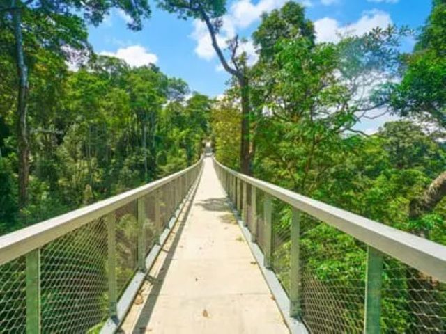 Habitat Penang Hill Picture Box