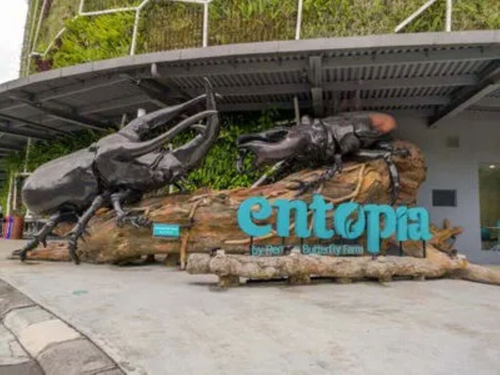 Entopia Penang Picture Box