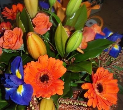 Best Florists in Tauranga Bayfair Florist