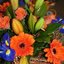 Best Florists in Tauranga - Bayfair Florist