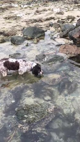 297528837 5247666785340475 3724279717696712544 n - 