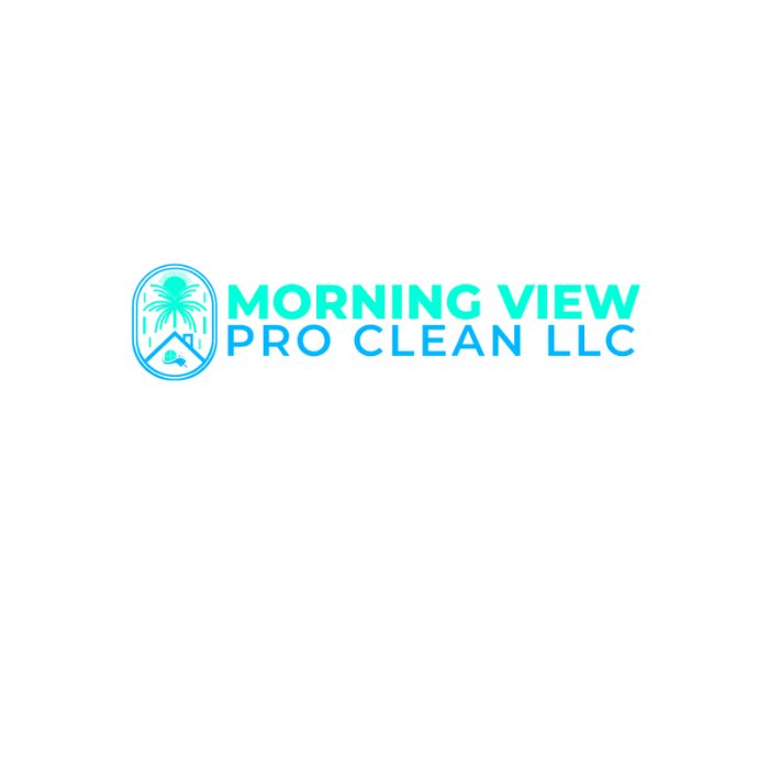 Morning View Pro Clean LLC Morning View Pro Clean LLC