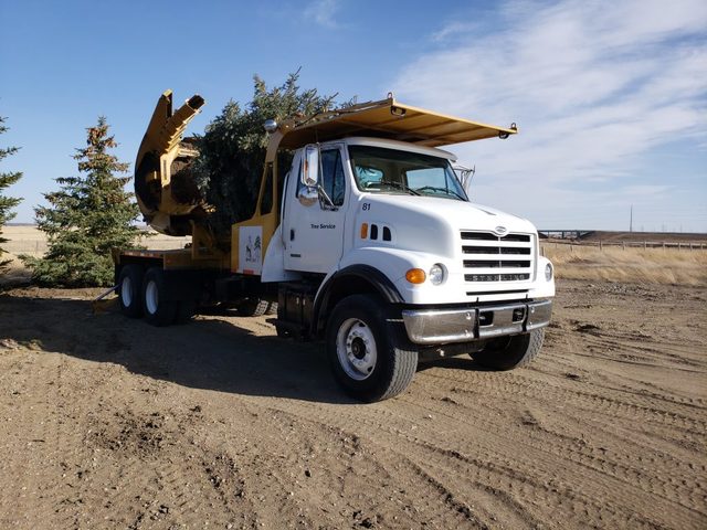 lethbridge-tree-moving Legacy Trees