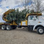 tree-service-lethbridge - Legacy Trees