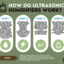 A Detailed Guide How Do Ult... - A Detailed Guide: How Do Ultrasonic Humidifiers Work?