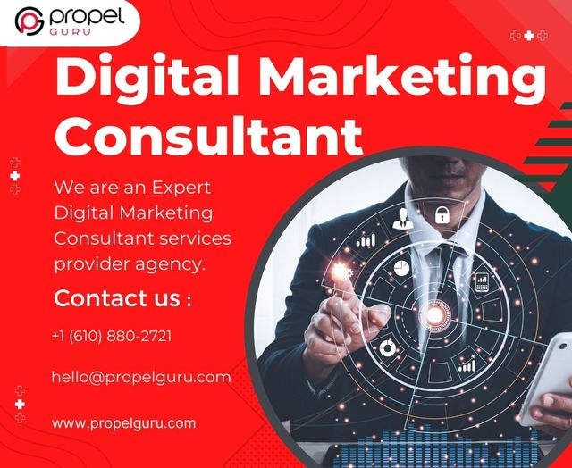 Hire the Best Digital Marketing Consultant Picture Box