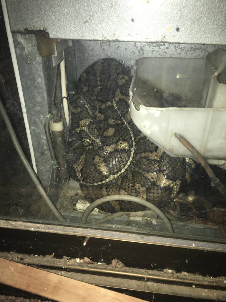 299204808 453641926675349 7795505710483521657 n - 