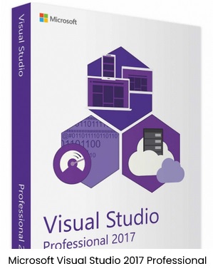 Microsoft Visual Studio Professional 2019 Picture Box