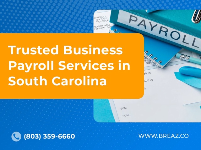 Get the excellent business payroll services in Sou Picture Box