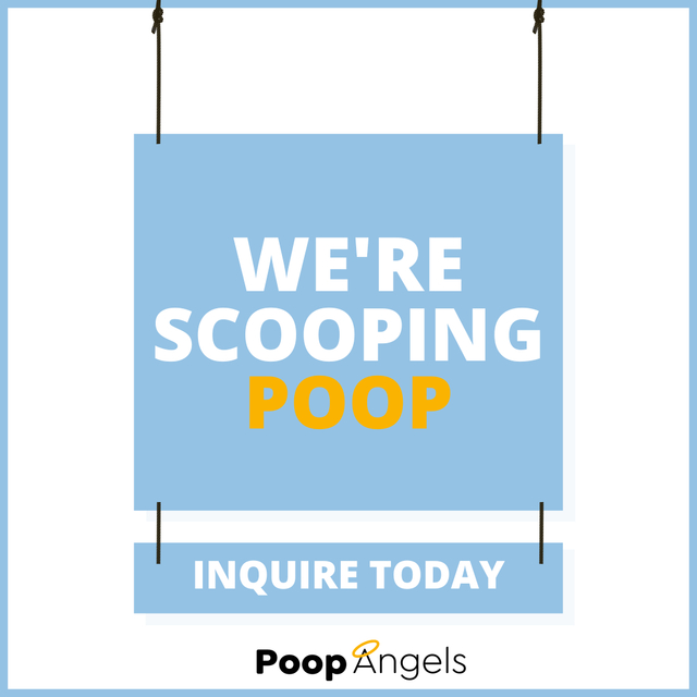 Poop Angels (3) Poop Angels