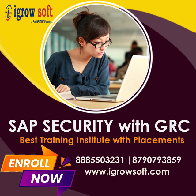 SAP GRC6 1080 sap security