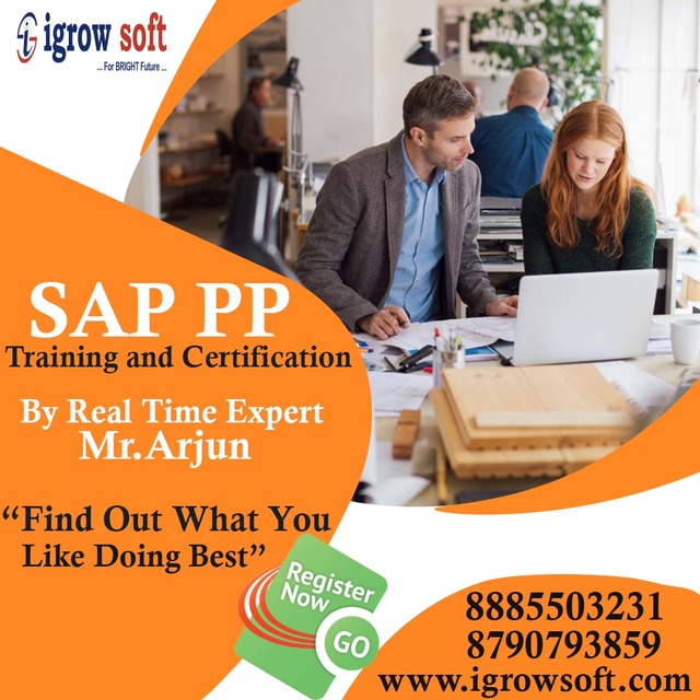 SAP PP1080  03-08-2022 best sap pp online training course