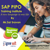 SAP PIPO2 - SAP CPI Online Training Course