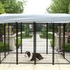 The Best Dog Cage For Sale ... - Duty Dog