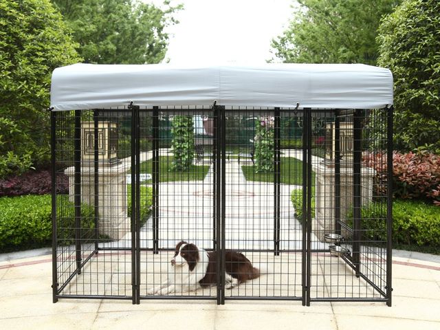 The Best Dog Cage For Sale In NZ Duty Dog