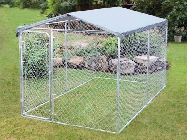 Professional And Affordable Pet Crate in NZ Duty Dog