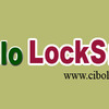 Cibolo-locksmith - Cibolo Locksmith