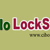 Cibolo-locksmith-300 - Cibolo Locksmith