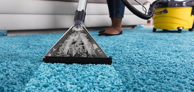 Carpet Cleaning 494 BioSteam Carpet Care LLC