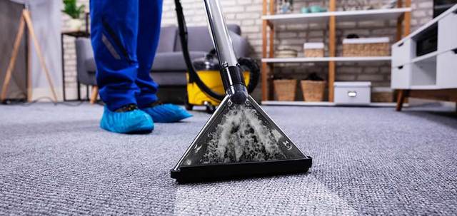 Carpet Cleaning 497 BioSteam Carpet Care LLC