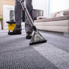 Carpet Cleaning 498 - BioSteam Carpet Care LLC