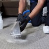 Carpet cleaning services 4 ... - Black Tie Carpet Care