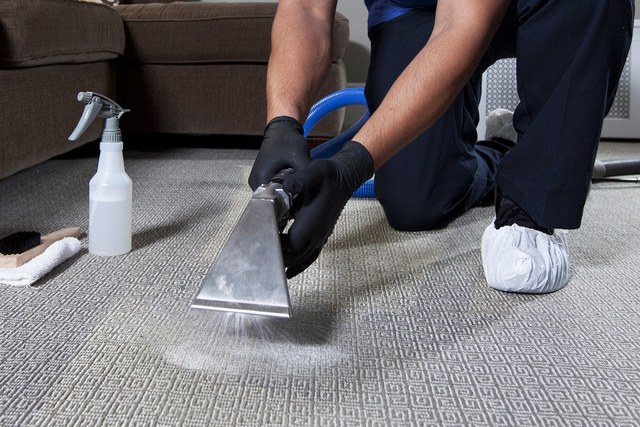 Carpet cleaning services 4 (26) Black Tie Carpet Care