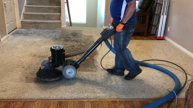 Carpet cleaning services 4 (84) Black Tie Carpet Care