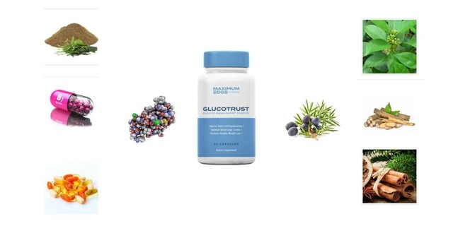 1650125602759 IT SERIES MENTIONS EVERYTHING A BEGINNER TO GLUCOTRUST