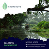 palmgrove img - Picture Box