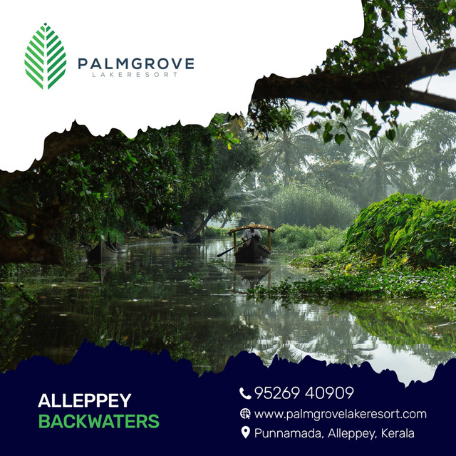 palmgrove img Picture Box