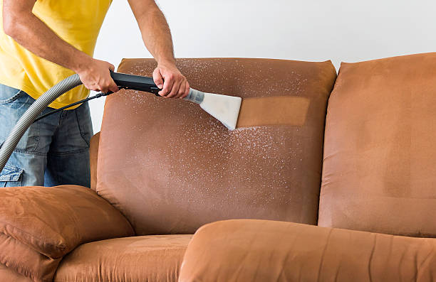 furniture cleaning (2) Logan Carpet Cleaning