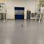 epoxy basement floor (3) - Philadelphia Epoxy Flooring